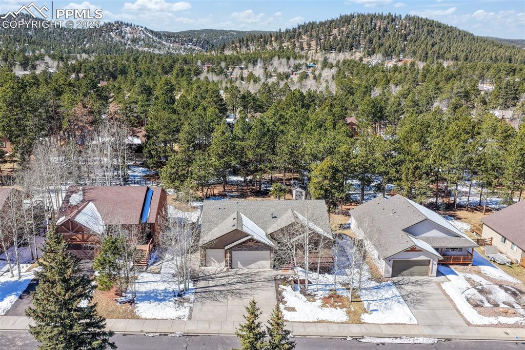 1116 Ptarmigan Drive