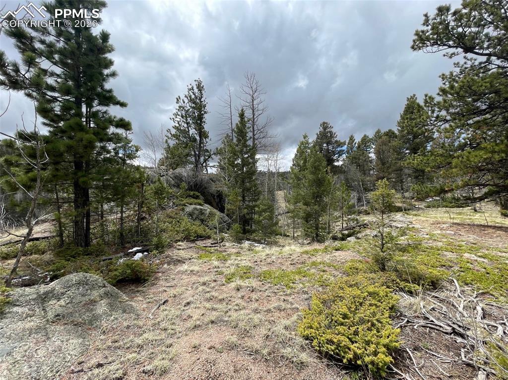 228 Alpine Drive