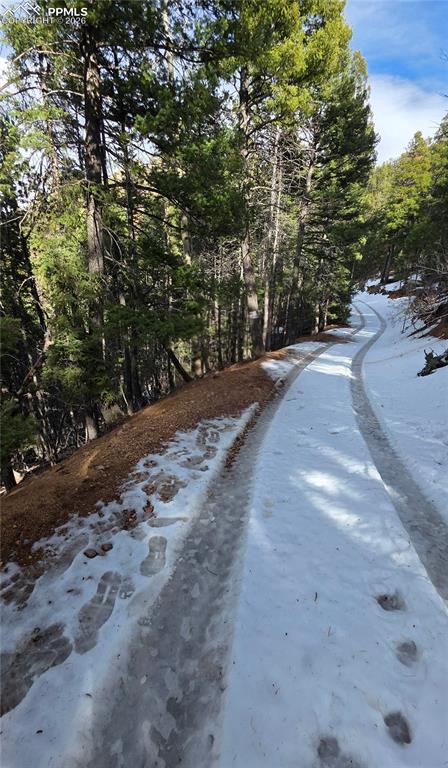157 Gitchigoomee Trail