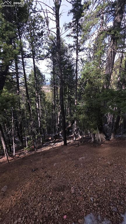 157 Gitchigoomee Trail
