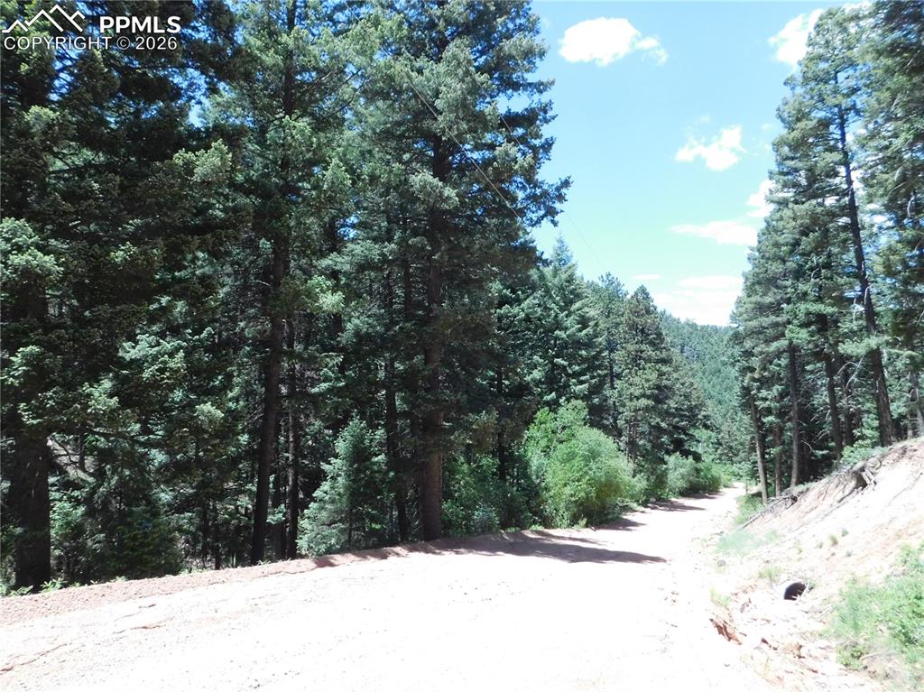 13371 Spruce Creek Circle