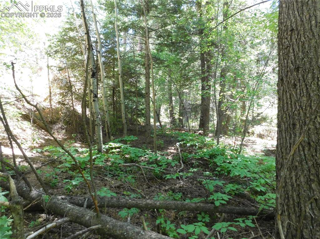 13371 Spruce Creek Circle