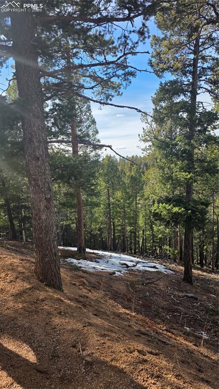 321 Tillicum Trail