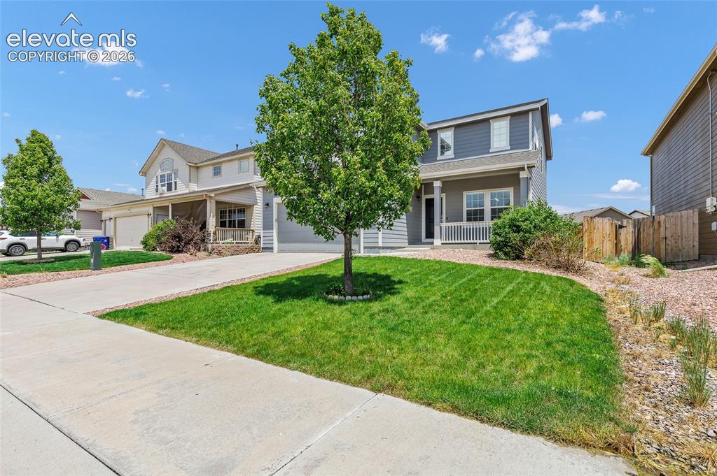 7585 Alpine Daisy Drive
