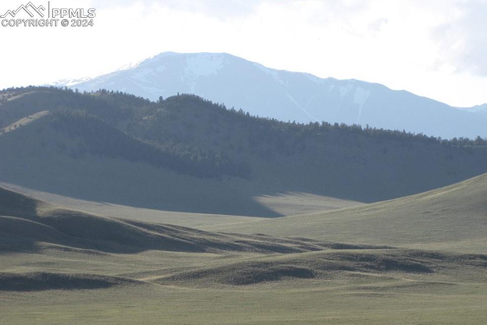 1185 County Road 734