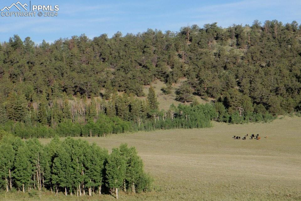 1185 County Road 734