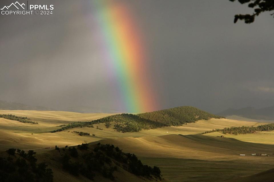 1185 County Road 734