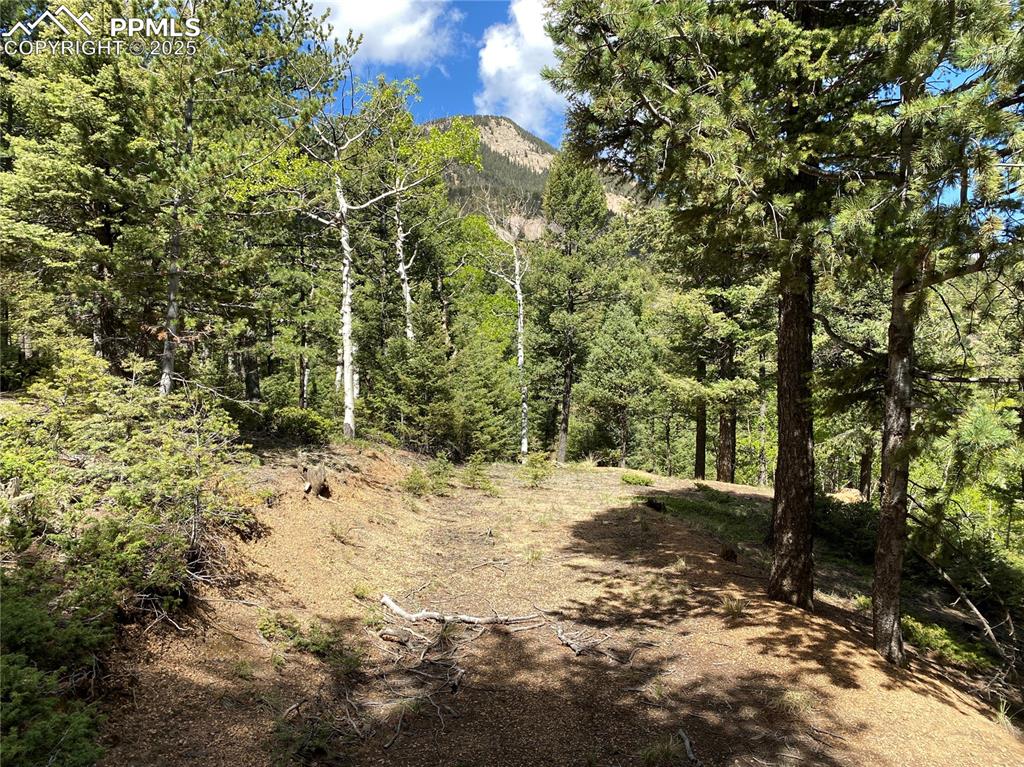 210 Waterfall Loop