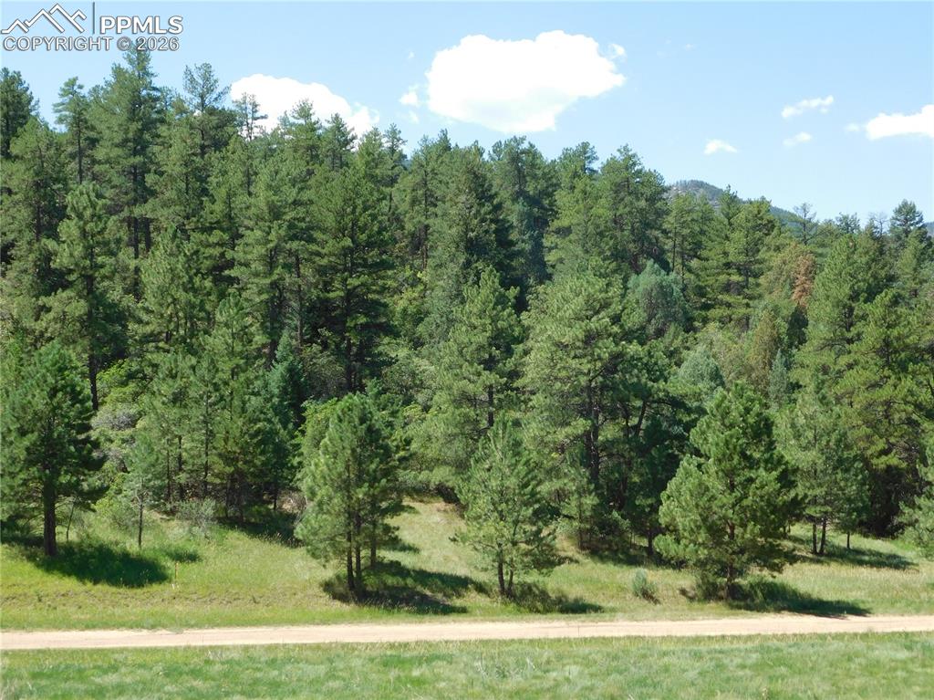 4668 Comanche Drive
