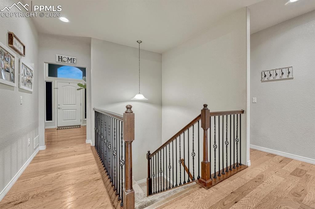 10775 Shavano Peak Court