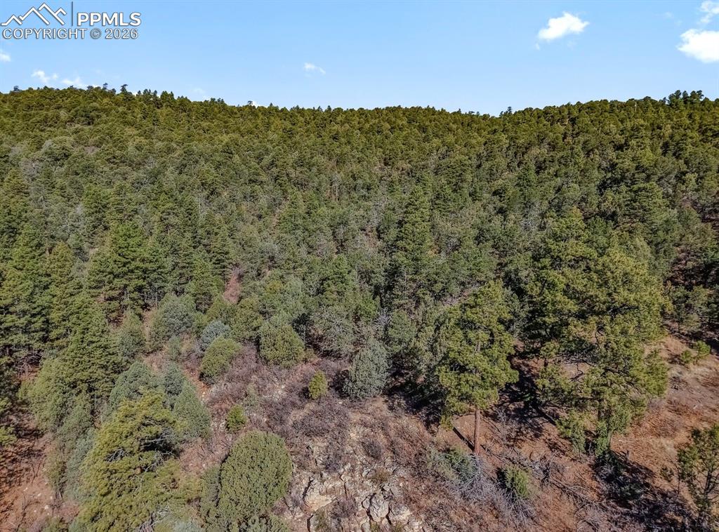 230 Old Mission Road