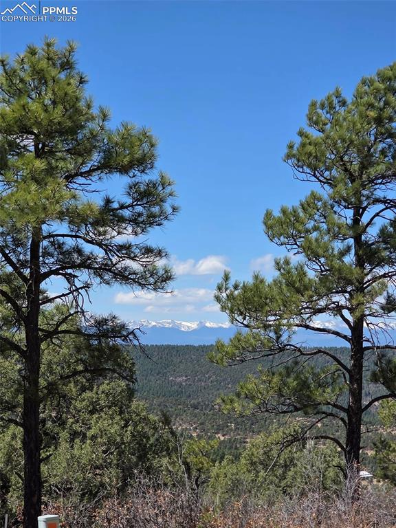 230 Old Mission Road