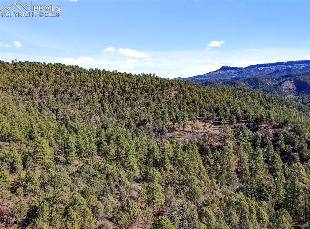 230 Old Mission Road