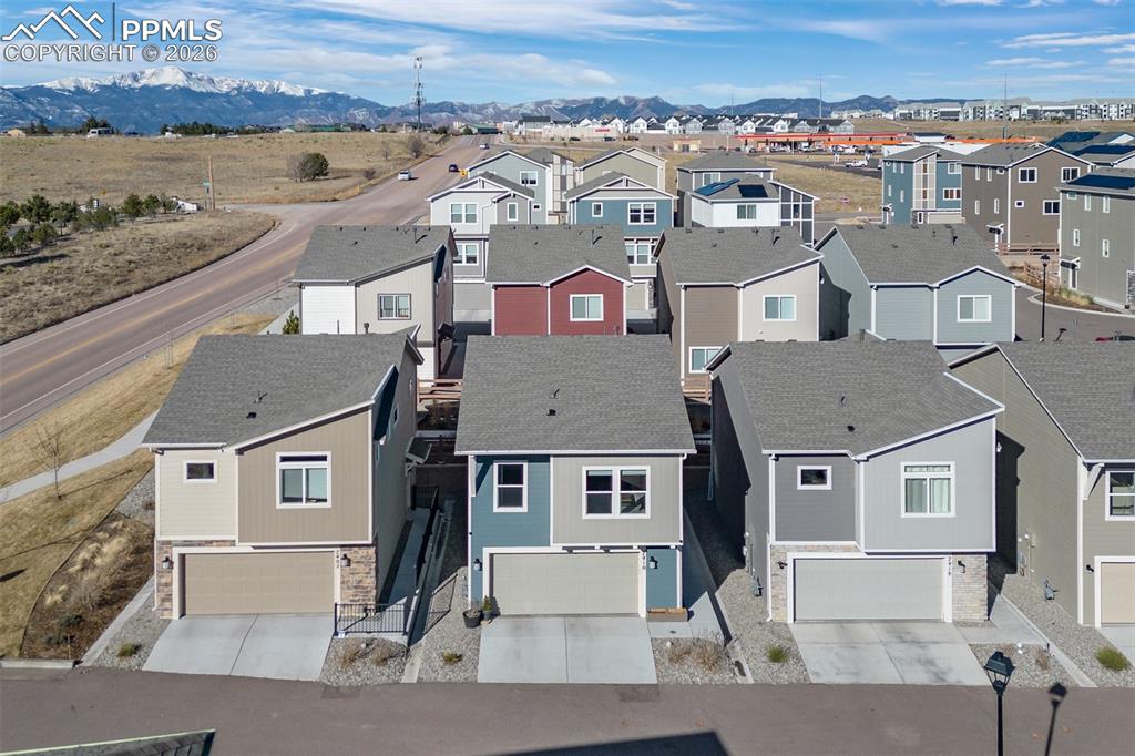 7410 Gorgeted Quail Grove