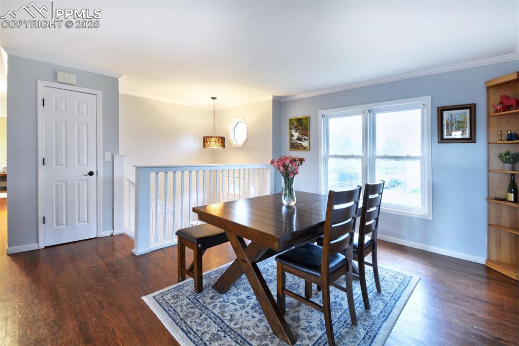 103 Aurelia Street