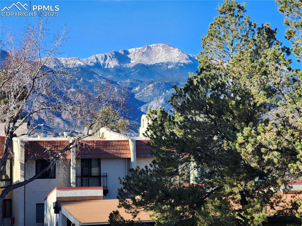 1038 Fontmore Road D