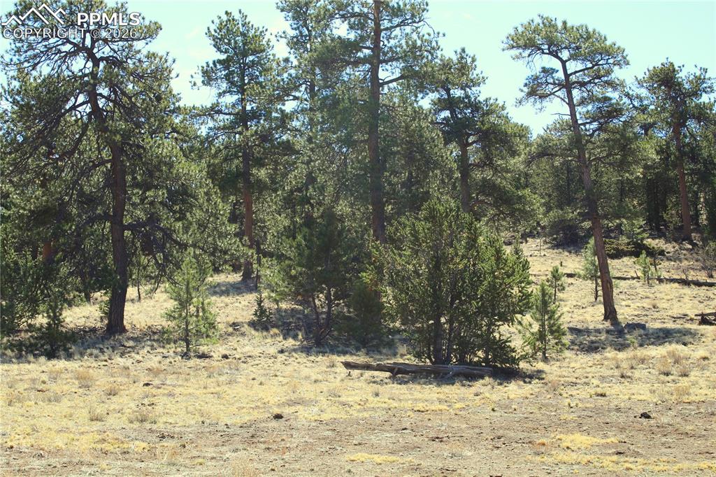 Ahlers Road