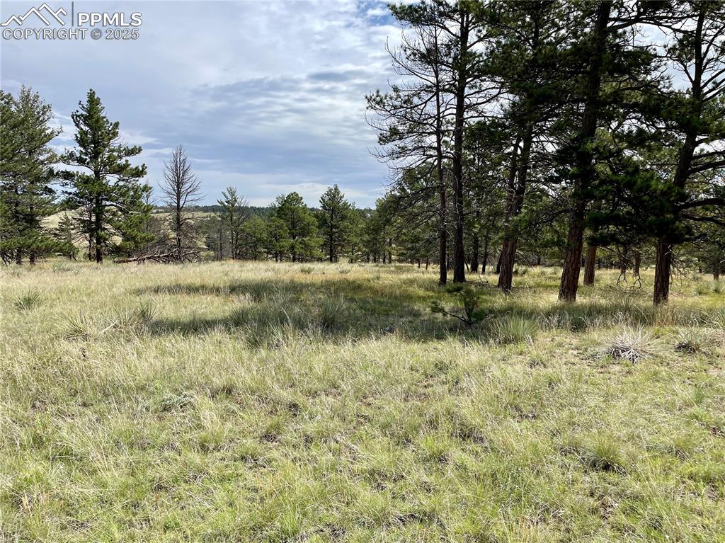 32041 Cattle Circle