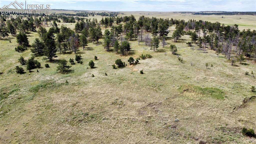 32041 Cattle Circle