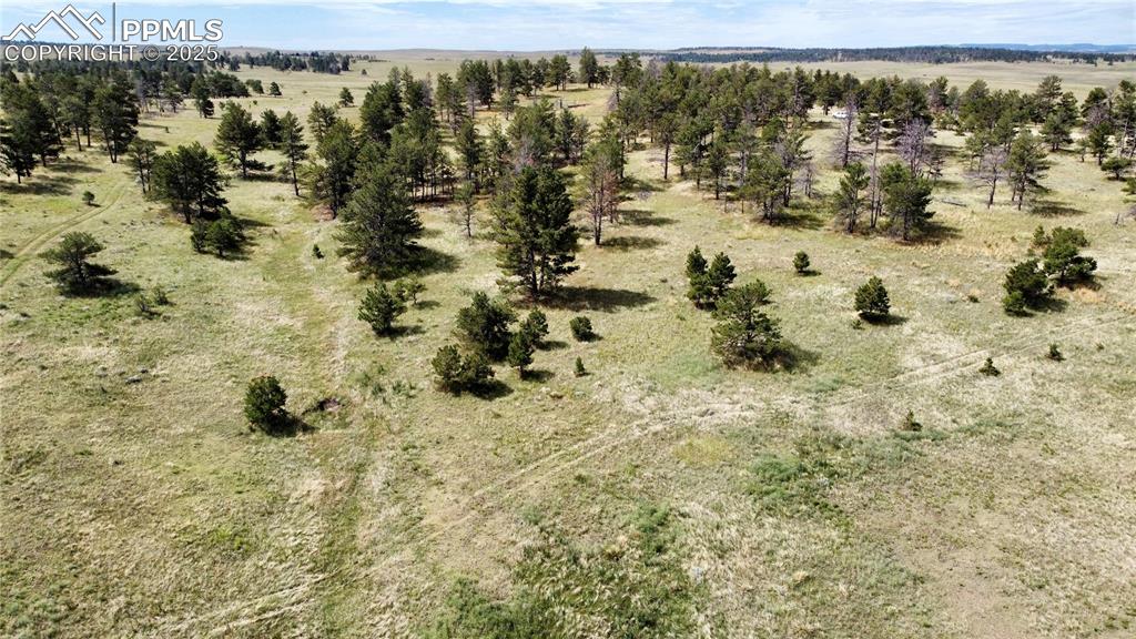 32041 Cattle Circle