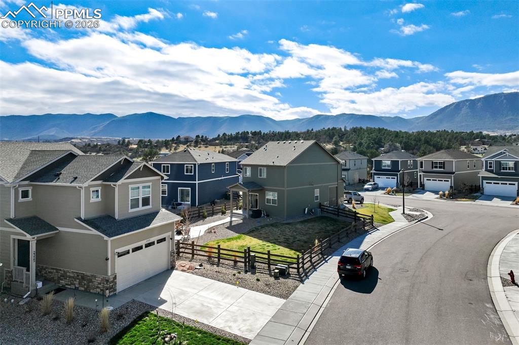 2325 Coyote Mint Drive