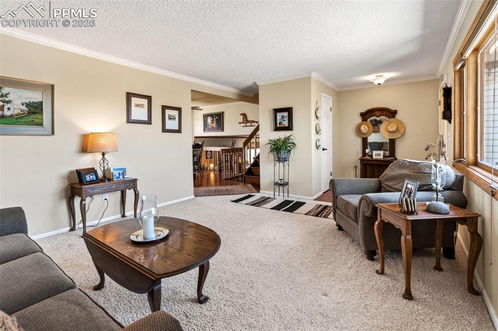 12360 Mesa View Road