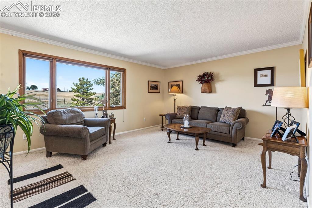 12360 Mesa View Road