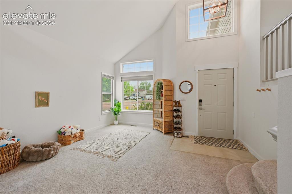 3935 Anvil Drive