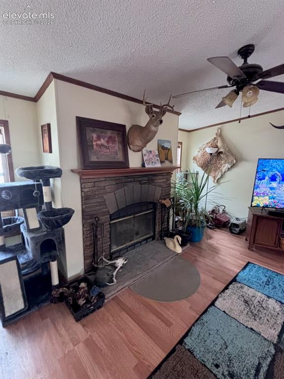 4758 Copper Gulch Road