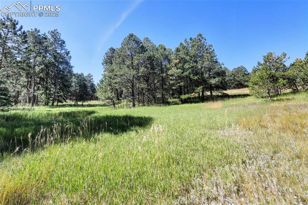 18380 Black Squirrel Road