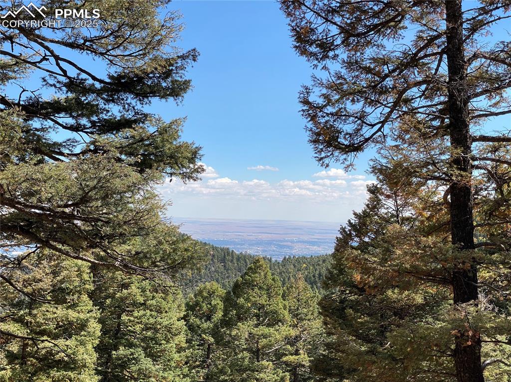342 Ponderosa View