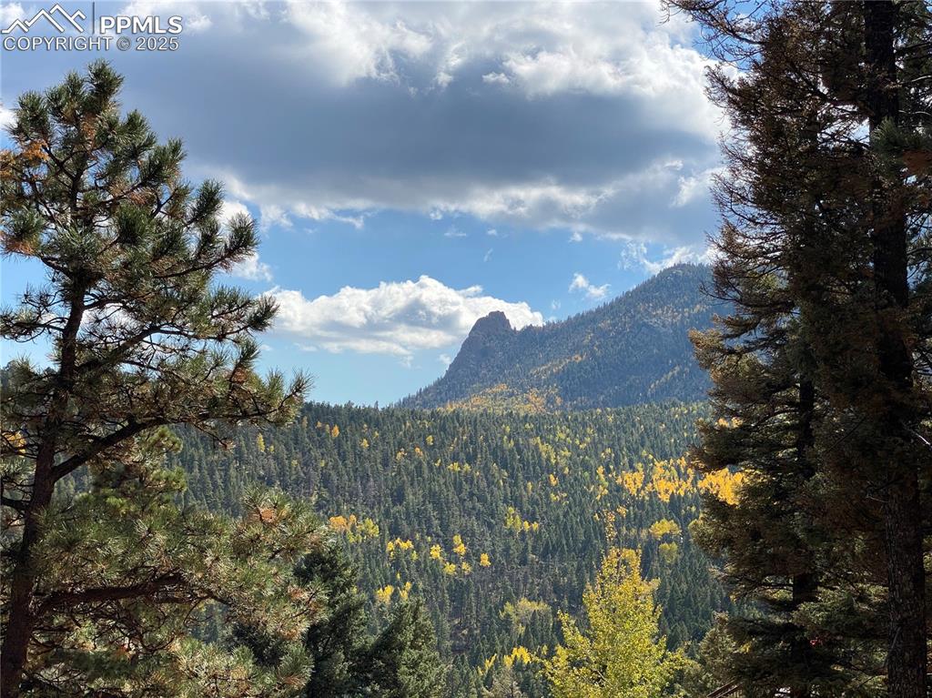 342 Ponderosa View