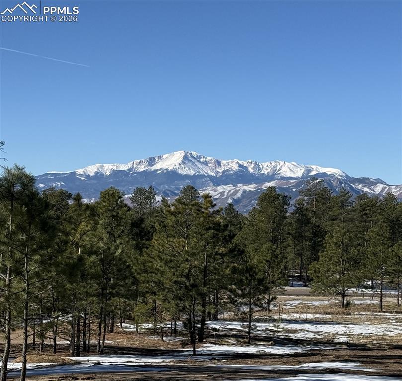 14432 Quartz Creek Drive