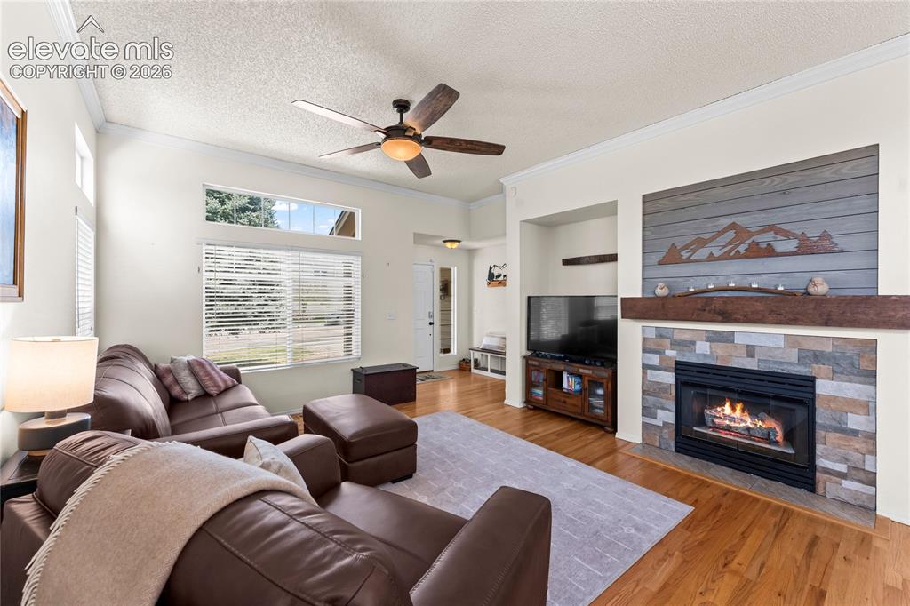 4755 Timber Wolf Trail