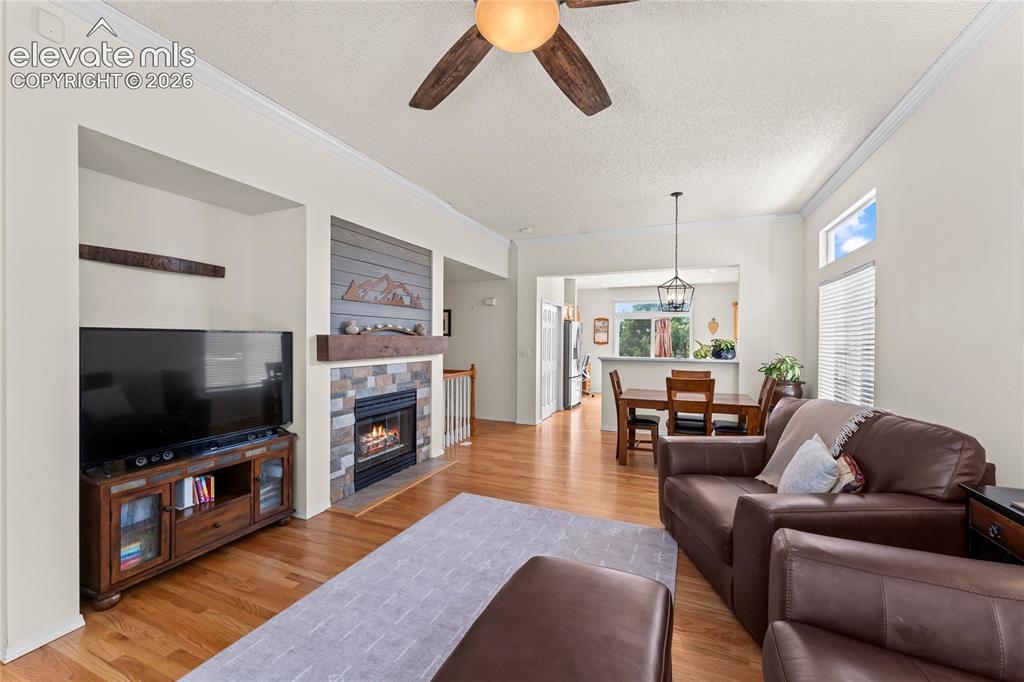 4755 Timber Wolf Trail