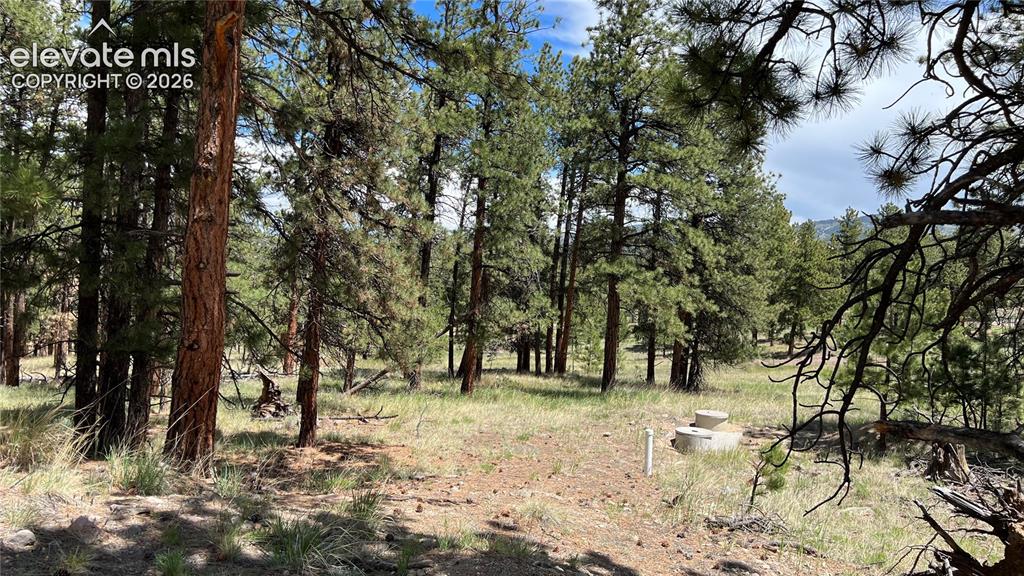 207 Little Bear Drive