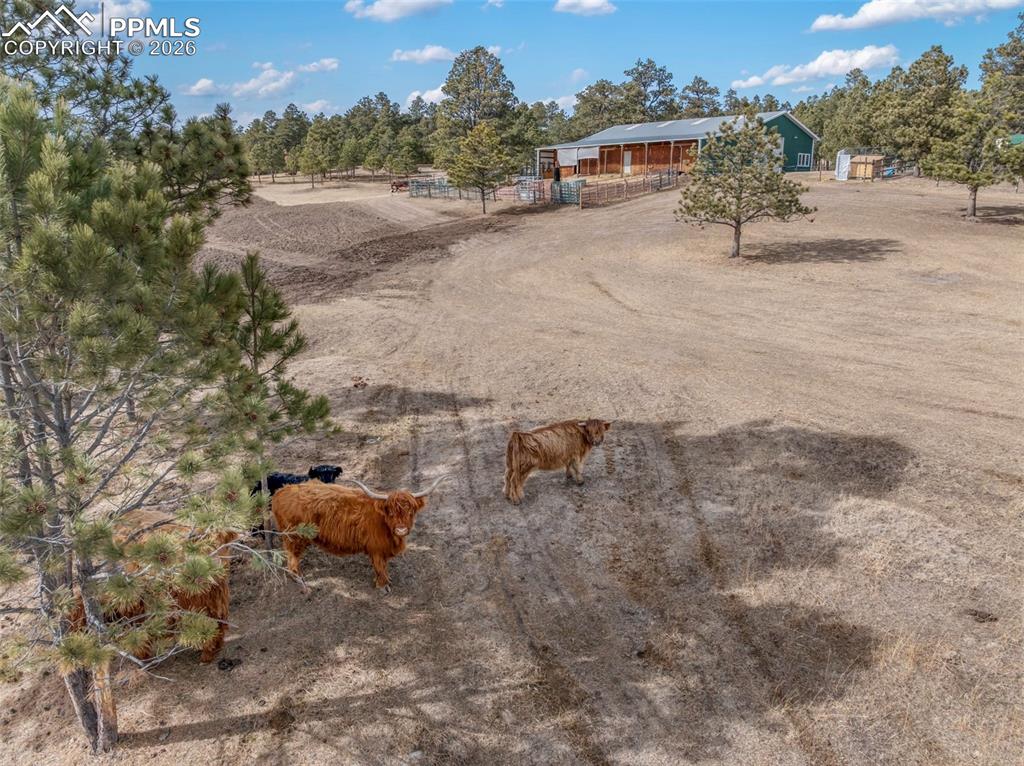 16530 Remington Road