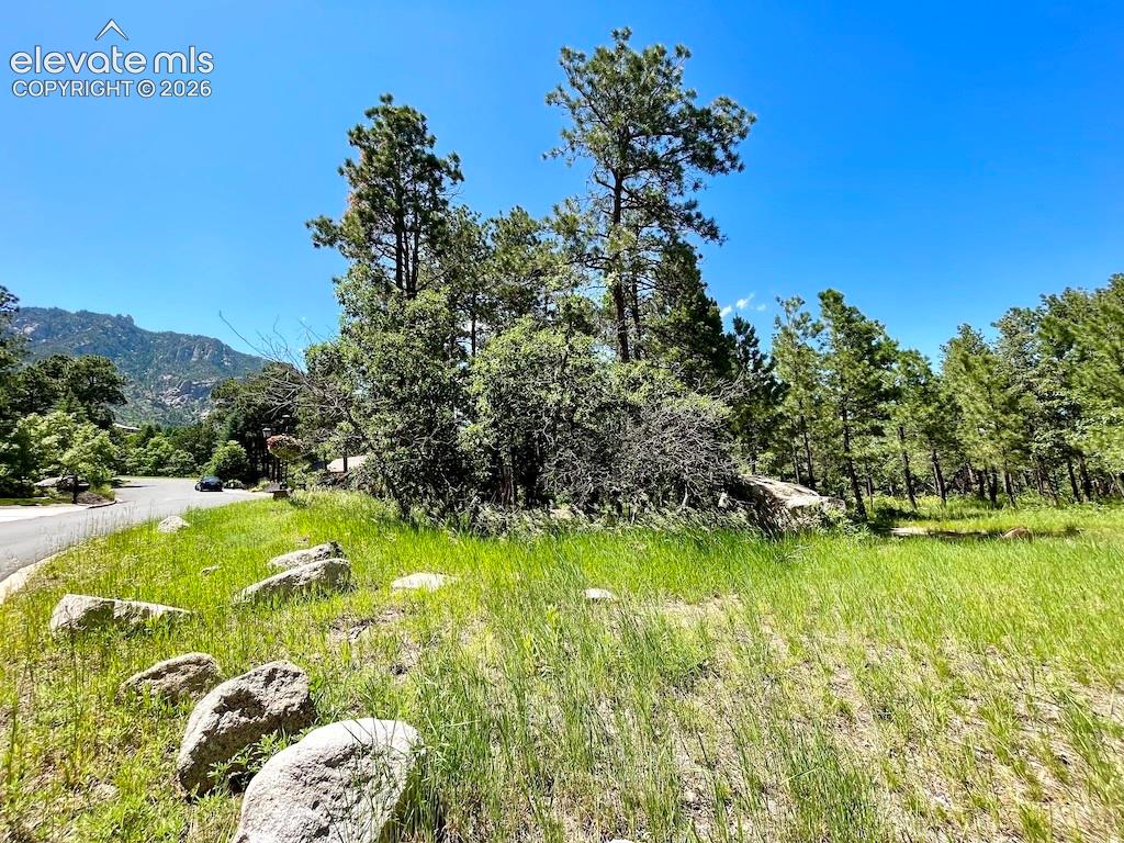 584 Silver Oak Grove