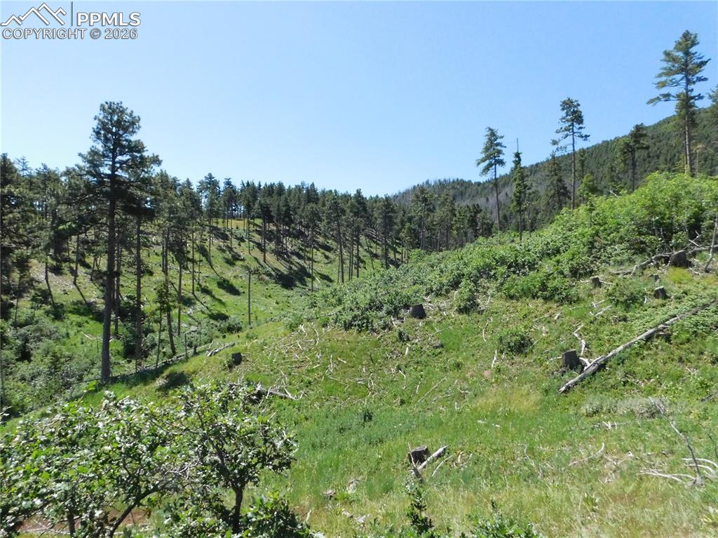 8249 Yuma Circle, Larkspur, CO, 80118 8249 Yuma Circle