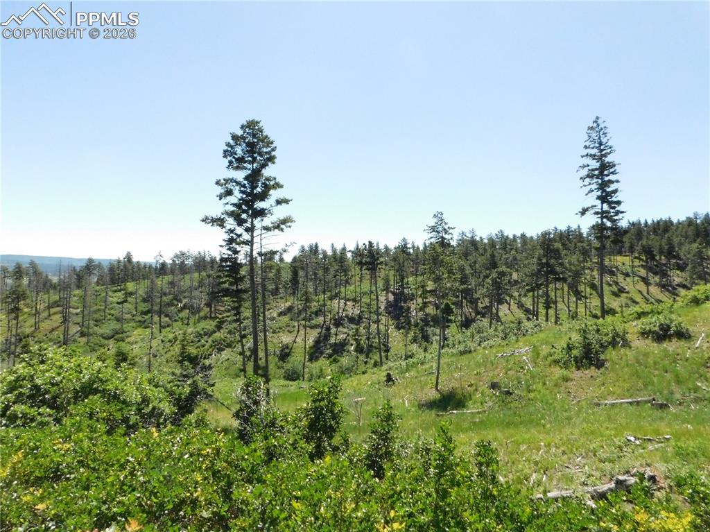 8249 Yuma Circle, Larkspur, CO, 80118 8249 Yuma Circle