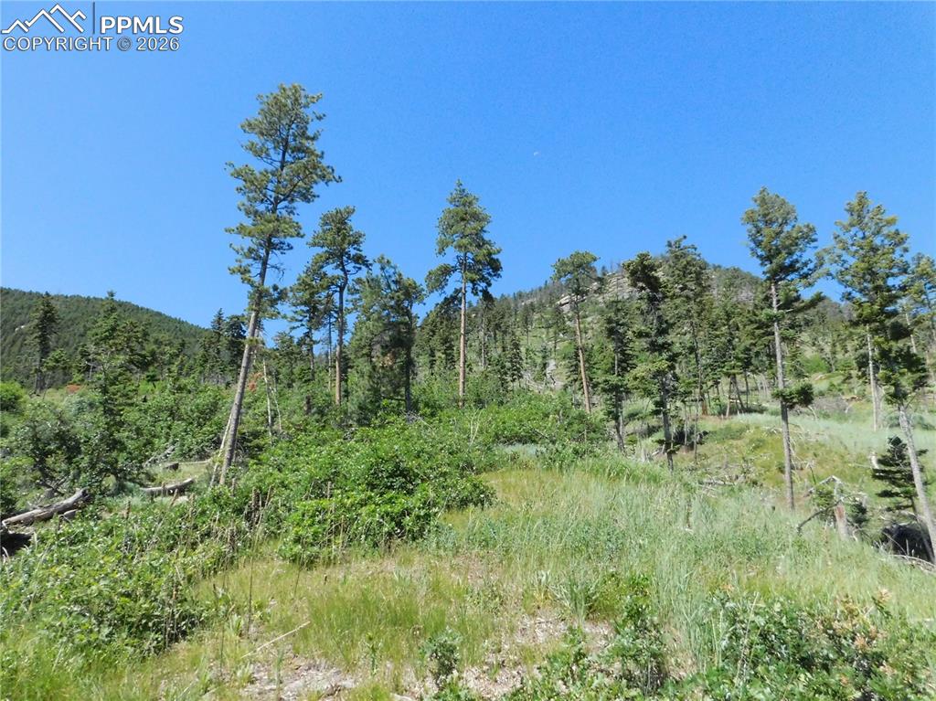 8249 Yuma Circle, Larkspur, CO, 80118 8249 Yuma Circle