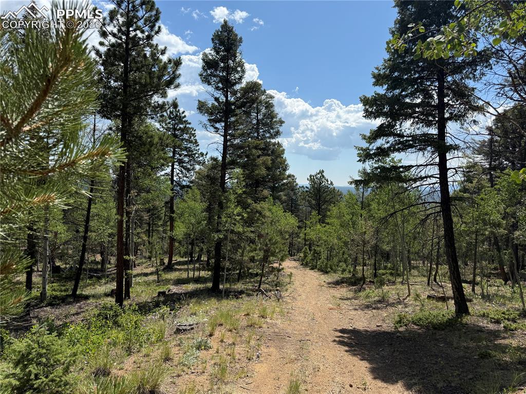 242 Apache Creek Drive