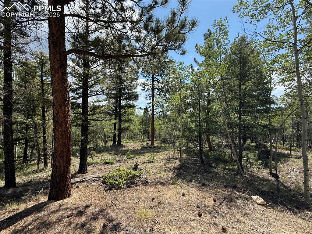 242 Apache Creek Drive