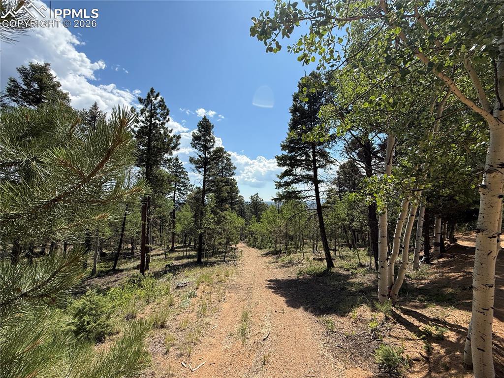 242 Apache Creek Drive