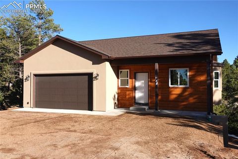 748 Pinewood Road Florissant CO 80816