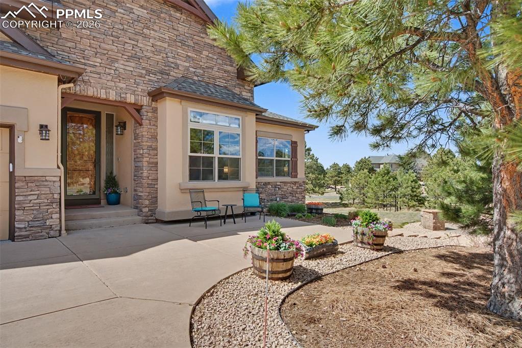 16242 Timber Meadow Drive