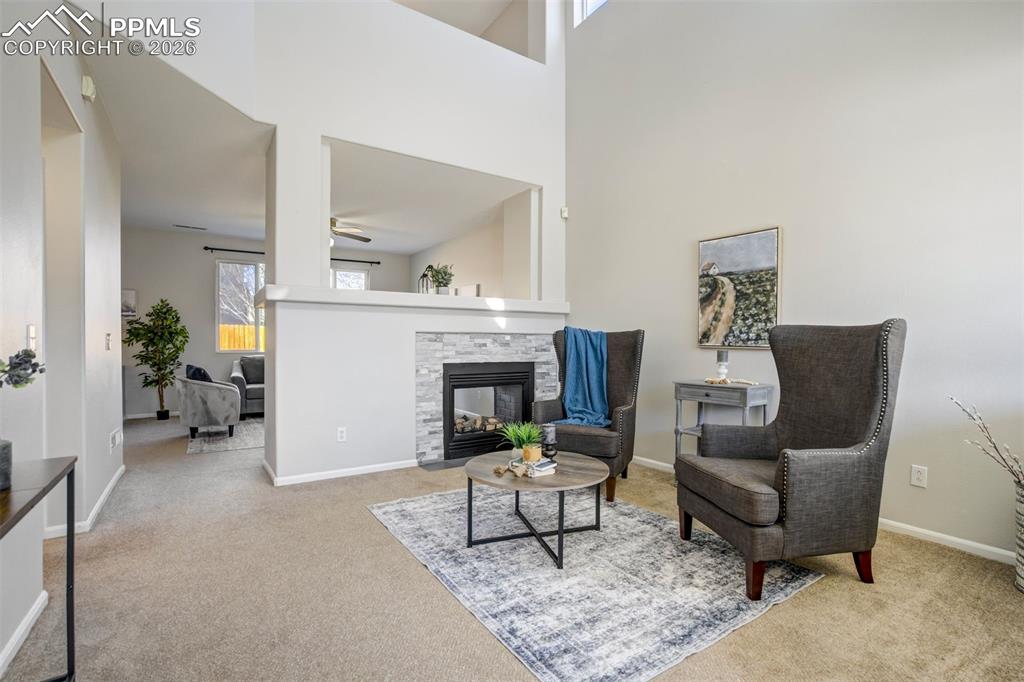 4364 Bronco Gulch Court