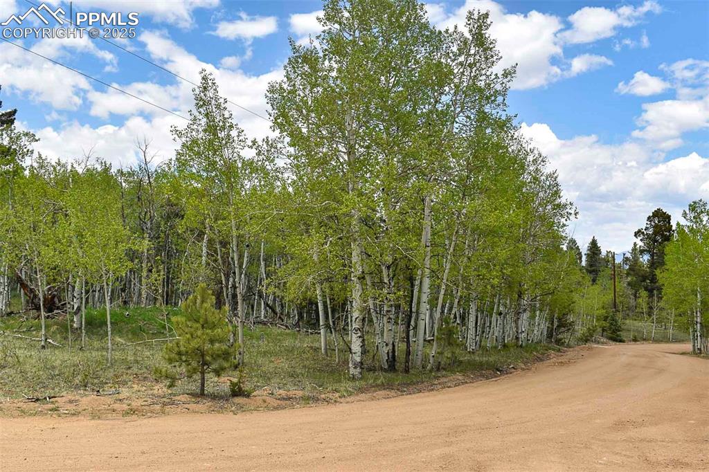 55 Aspen Way Drive
