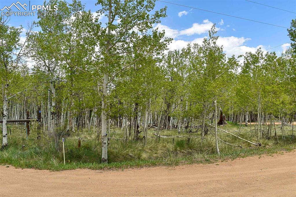 55 Aspen Way Drive