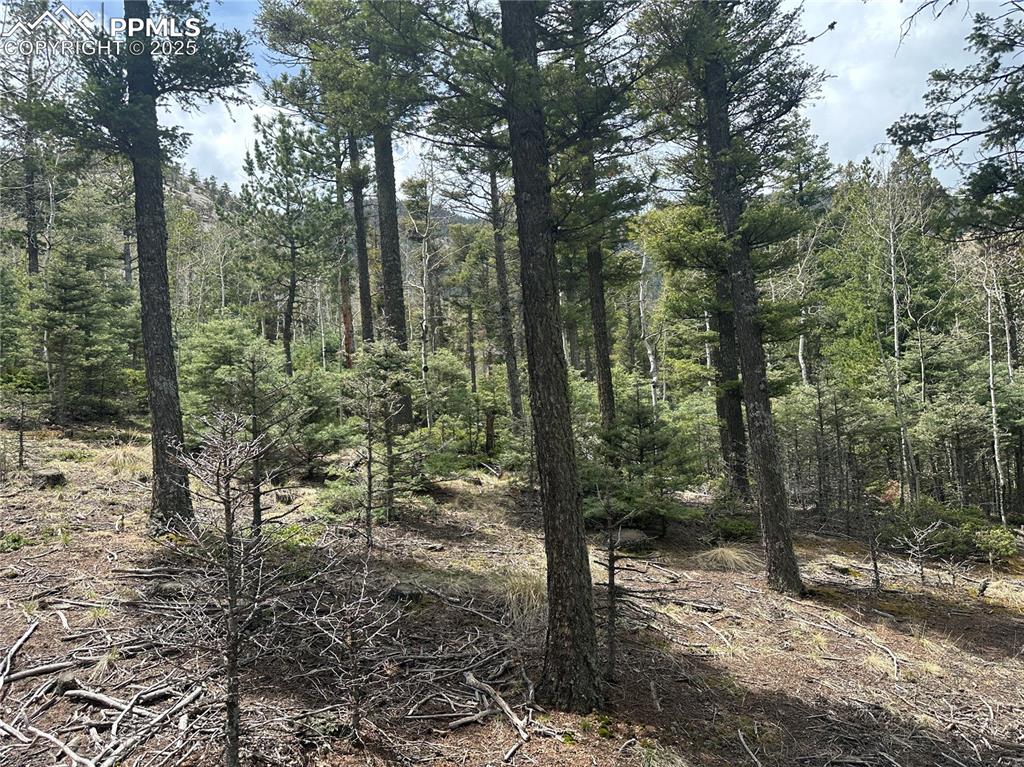 357 Big Horn Road